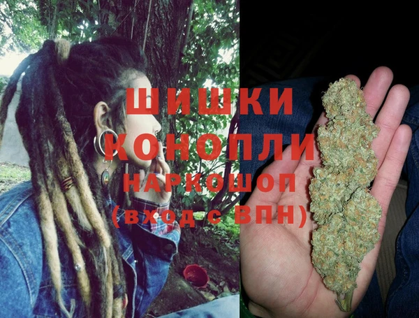 spice Сосновка