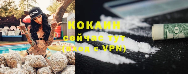 крисы Сосновый Бор